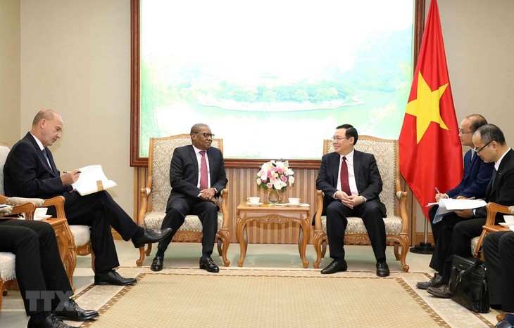 Deputi PM Vietnam, Vuong Dinh Hue menerima  para Dubes Afrika Selatan dan Nigeria - ảnh 1
