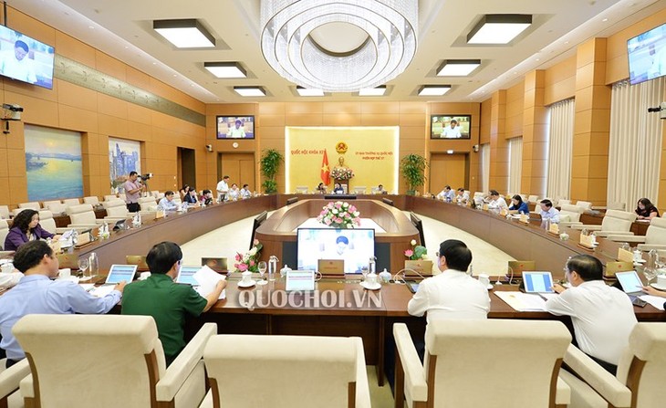 Komite Tetap MN Vietnam memberikan pendapat terhadap Undang-Undang mengenai  Ketenaga-kerjaan (amandemen) - ảnh 1