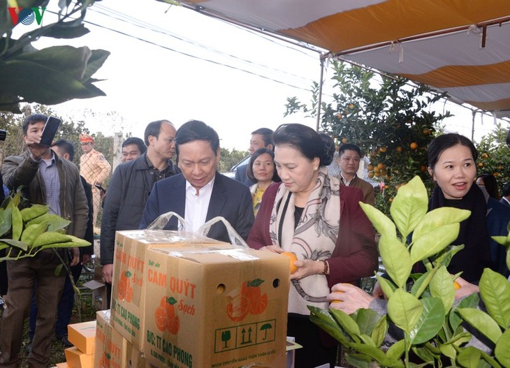 Ketua MN Vietnam, Ibu Nguyen Thi Kim Ngan melakukan kunjungan kerja di Kabupaten Cao Phong, Provinsi Hoa Binh - ảnh 1