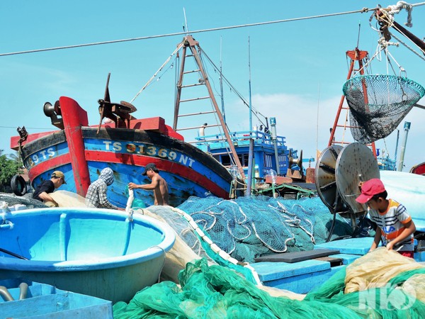 Komisi Eropa menarik kartu kuning  kalau  kapal penangkapan ikan Vietnam tidak melanggar  kawasan laut  asing - ảnh 1