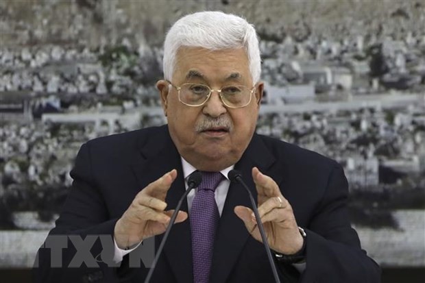 Presiden Palestina berseru supaya mencegah  Rencana Perdamaian Timur Tengah  yang diumumkan oleh AS - ảnh 1