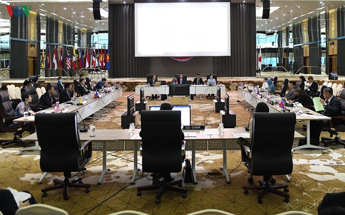 Memperkuat lebih lanjut lagi hubungan kemitraan strategis  ASEAN-Jepang - ảnh 1