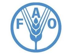 Conférence régionale pour l’Asie et le Pacifique de la FAO à Hanoi - ảnh 1
