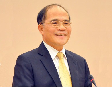 Nguyen Sinh Hung reçoit 25 chefs d'organisations vietnamiennes à l'étranger - ảnh 1