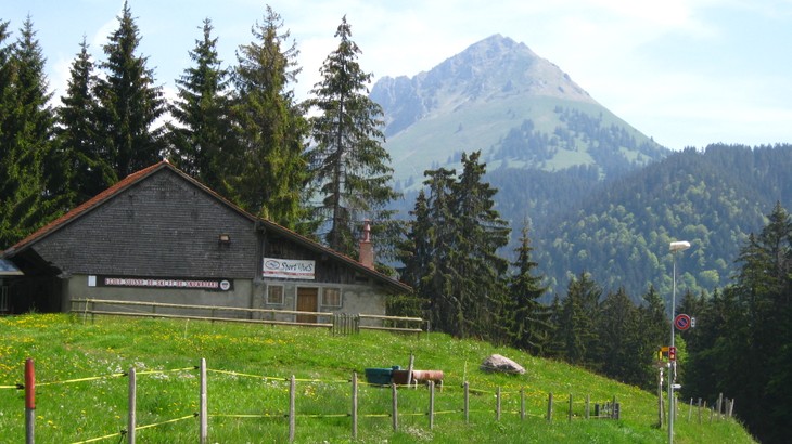 Comment les stations de ski suisses font-elles face au changement climatique ? - ảnh 2