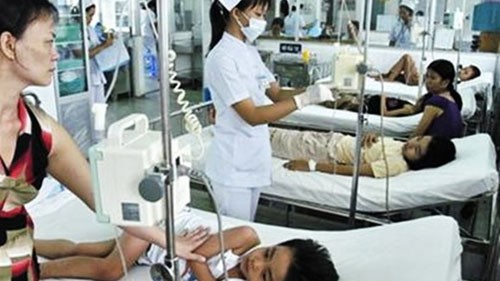 Le Vietnam célèbre la Journée aséanienne de prévention et de lutte contre la fièvre hémorragique - ảnh 1