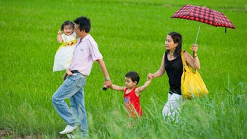 Meeting en écho à la journée de la famille vietnamienne - ảnh 1