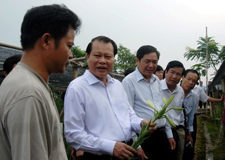 Le vice-Premier Ministre Vu Van Ninh travaille avec les autorités de Hanoi  - ảnh 1