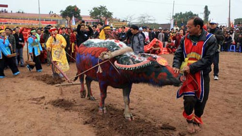 Tich Dien festival boosts agricultural development - ảnh 2