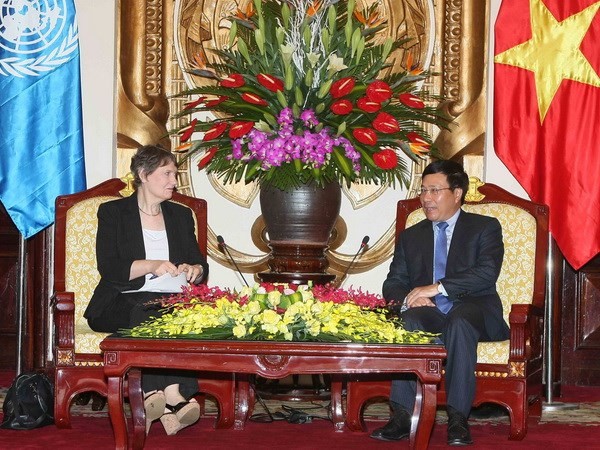Vietnam is active in cooperation with UNDP - ảnh 1