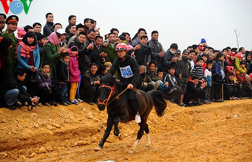 Horse racing of Mong people - ảnh 1