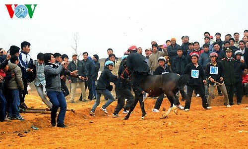 Horse racing of Mong people - ảnh 2