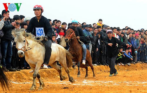 Horse racing of Mong people - ảnh 3
