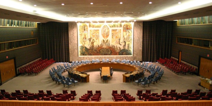 UNSC appeals for protection of humanitarian workers - ảnh 1