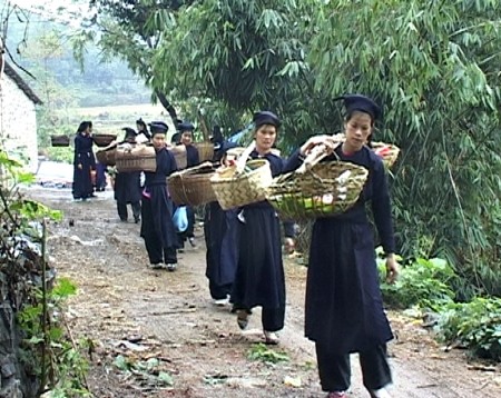 Custom of asking for wedding presents of the Tay  - ảnh 1