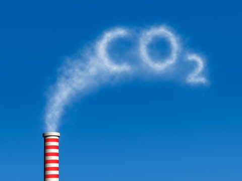 Vietnam prepares for a carbon market - ảnh 1