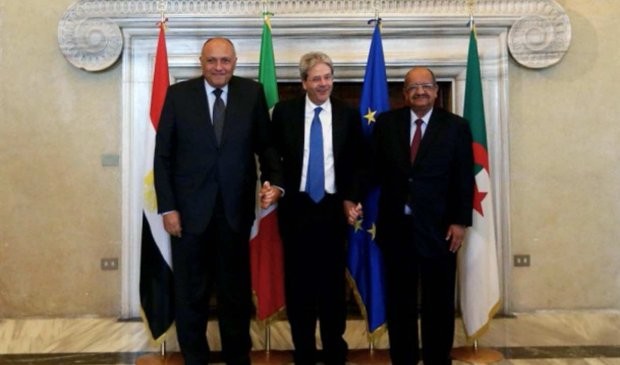 Algeria, Egypt, Italy discuss Libya  - ảnh 1