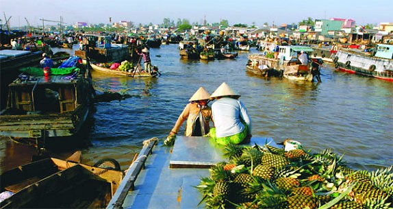 US, Mekong partners enhance research cooperation - ảnh 1