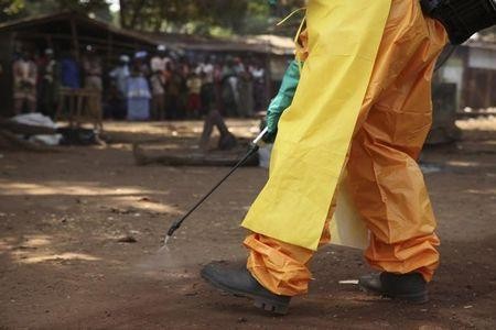 Guinea free of Ebola - ảnh 1