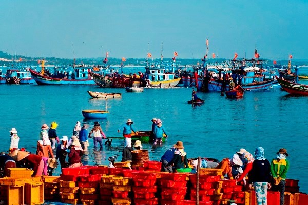 Exhibition features beauty of Hoang Sa Flotilla’s homeland - ảnh 1