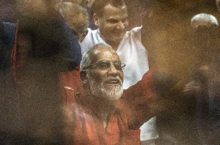 Egyptian court hands down a life sentence to a MB leader - ảnh 1
