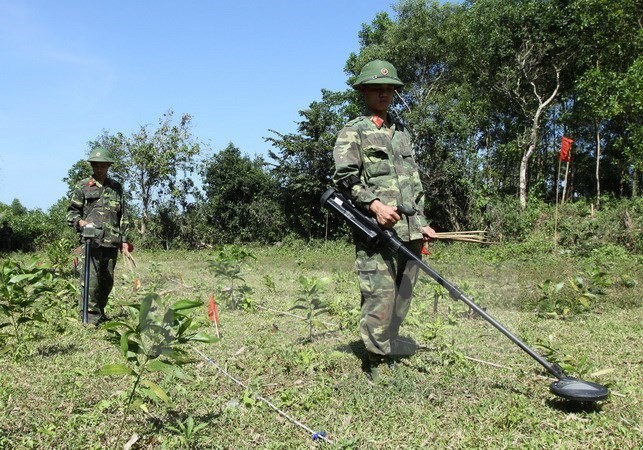 Enhancing international cooperation to support UXO victims - ảnh 1