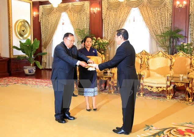 Vietnamese Ambassador submits credential letter to Lao President - ảnh 1