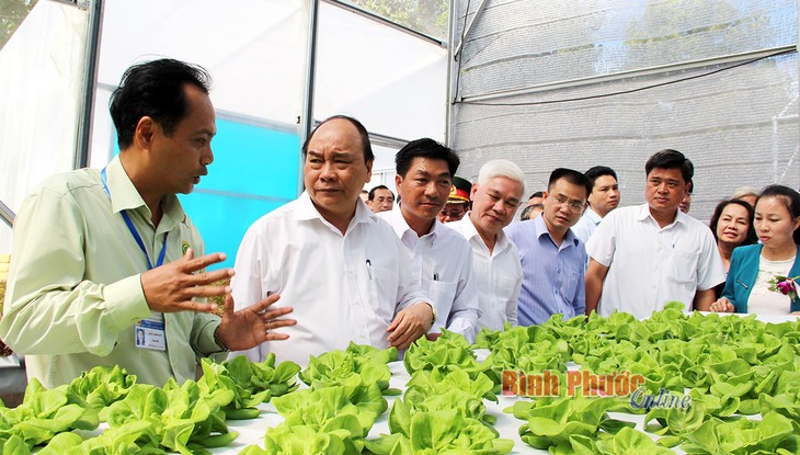 PM attends 20th anniversary of Binh Phuoc’s reestablishment  - ảnh 1