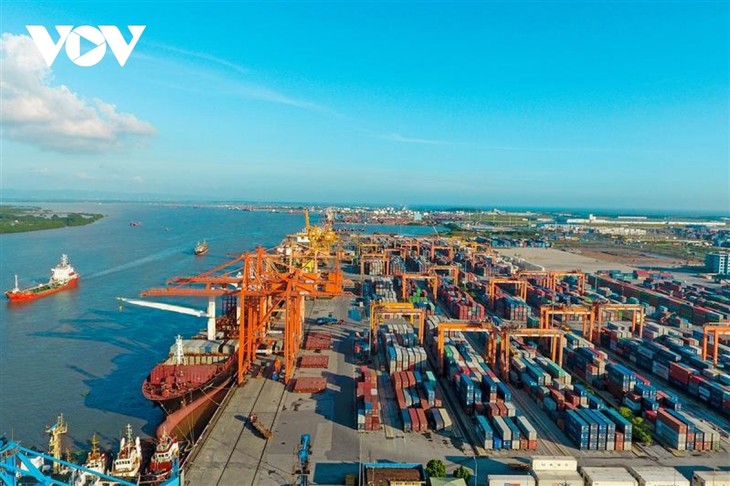 Cargo through seaports nearly doubles in 7 years - ảnh 1