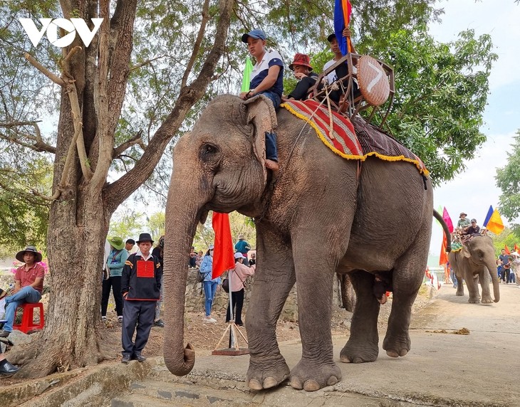 Ceremony to pray for elephants’ health in Dak Lak  - ảnh 1