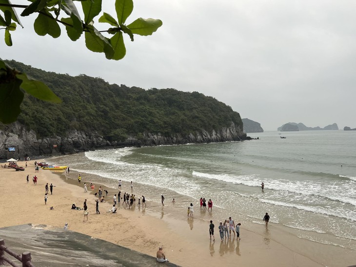 A tour of Cat Ba island - ảnh 1