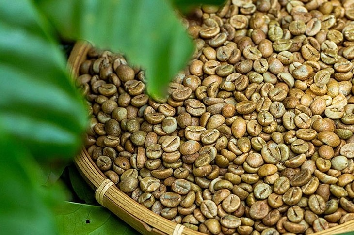 Vietnam’s coffee export tops 2 billion USD in five months - ảnh 1