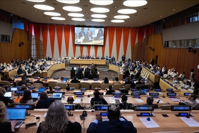 UN High Seas Treaty aims to effectively enforce 1982 UNCLOS  - ảnh 1