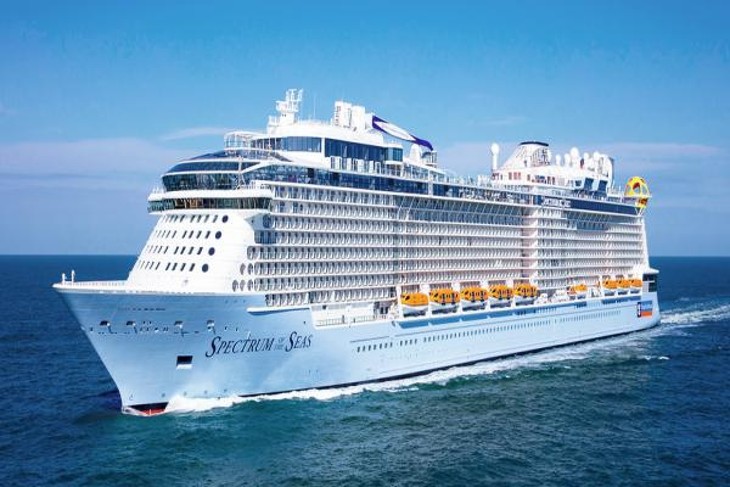 Spectrum of the Seas cruise carries passengers to Khanh Hoa province - ảnh 1