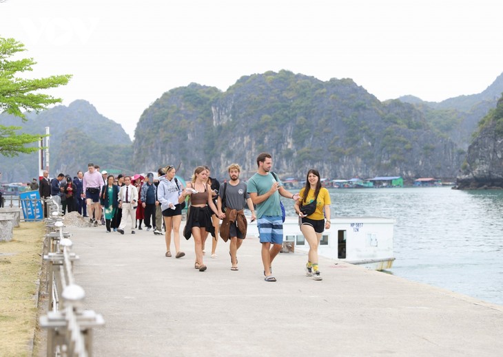 Ha Long Bay-Cat Ba Archipelago world heritage attracts tourists - ảnh 1