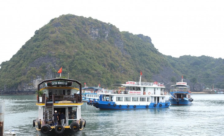 Ha Long Bay-Cat Ba Archipelago world heritage attracts tourists - ảnh 2