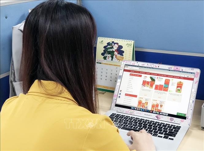 Vietnam’s e-commerce, a lucrative market for foreign enterprises - ảnh 1