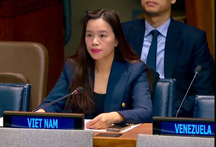 Vietnam committed to combat illegal trade of small guns, light weapons - ảnh 1
