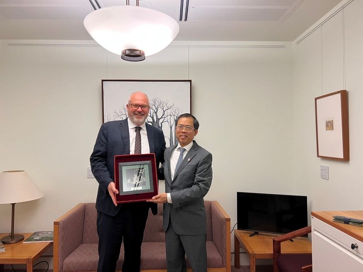 Vietnamese Ambassador meets Assistant Minister for Trade and Manufacturing of Australia - ảnh 1