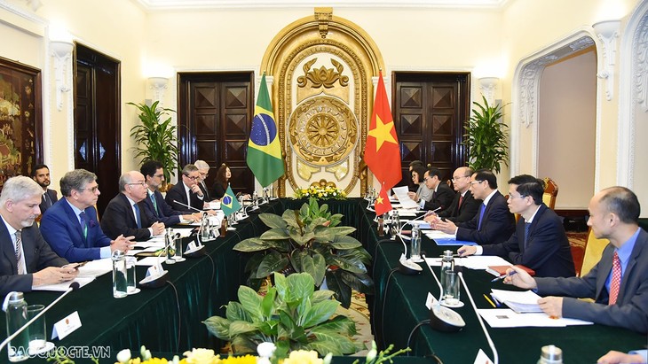 Foreign Minister Bui Thanh Son holds talks with Brazilian counterpart - ảnh 1