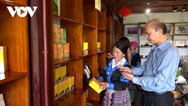 Bumper tea season in Suoi Giang commune - ảnh 2