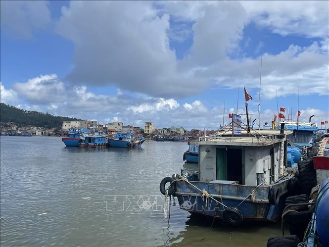 Vietnam considers combatting IUU fishing an urgent mission - ảnh 1