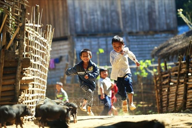 Vietnam pledges stronger actions to prevent, eliminate child labour - ảnh 1
