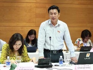 NA Deputies debate Laws on Lawyers, Electricity and Cooperatives - ảnh 1