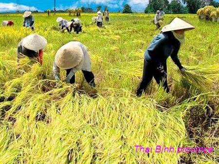 Thai Binh seeks to attract more investment - ảnh 2