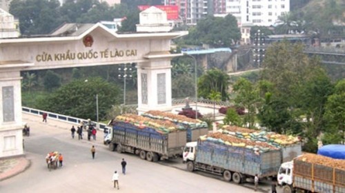 Agro-forestry exports – positive sign from Lao Cai International Border Gate - ảnh 1