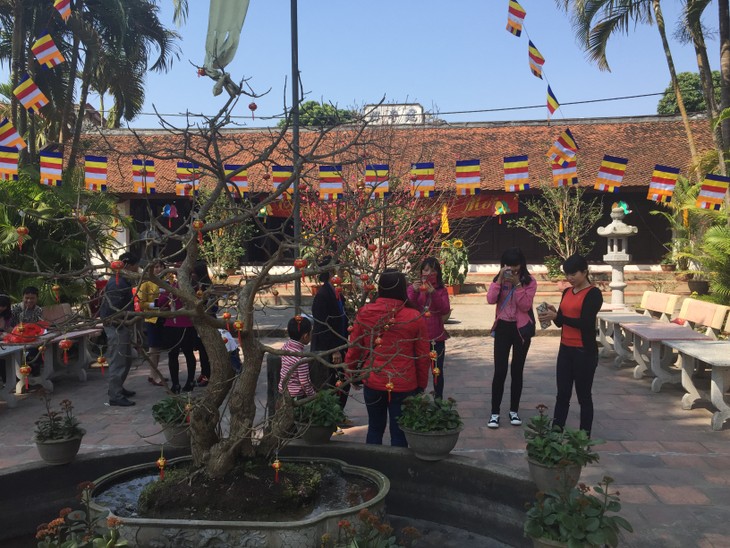 Visiting Kien So Pagoda on early days of the New Year - ảnh 7