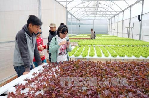  Lam Dong to spend nearly 2 million USD on sustainable agriculture production chains - ảnh 1