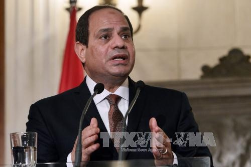  Egyptian President to pay State visit to Vietnam - ảnh 1