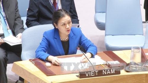 Ambassador highlights Vietnam’s favor of disarmament, nuclear non-proliferation - ảnh 1